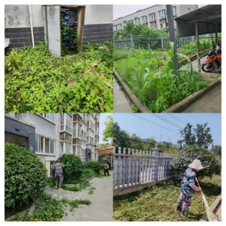 041764810043709110.png 图片3.png